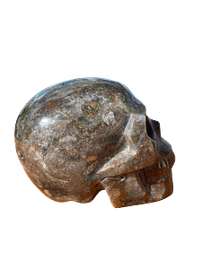 ocean jasper skull 1