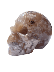 Flower agate skull 1