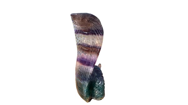 Rainbow fluorite snake 2