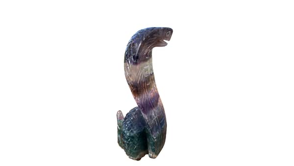 Rainbow fluorite snake 3