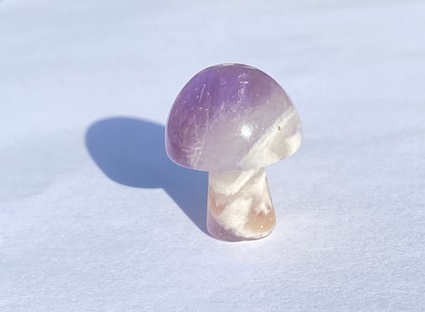 Crystal mushrooms - amethyst 2