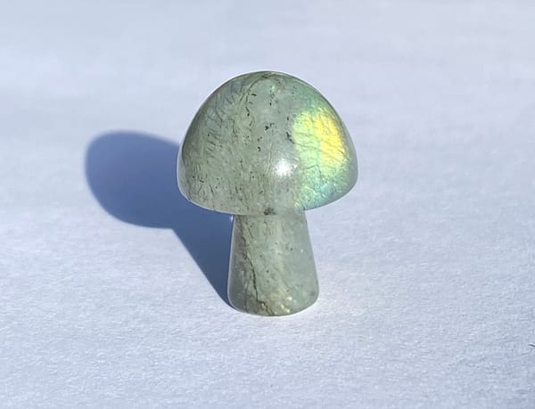Crystal mushrooms - labradorite