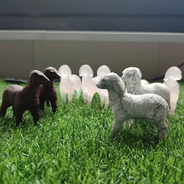 Baby goats - 1