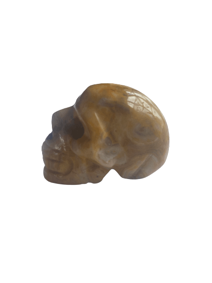Classic crystal mini skull - jasper 1